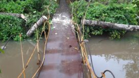 Kondisi Jembatan di Desa Tuwi Kareng usai tertimpa pohon, Minggu (30/7/2023) (Foto Aceh Jaya Post-Abdo)