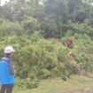 Petugas PLN ULP Calang sedang memperbaiki tiang listrik di Desa Kuala Unga, Kecamatan Indra Jaya yang tumbang akibat cuaca ektrim pada Jumat, (30/06/2023) (Foto untuk Aceh Jaya Post)