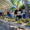Panitia sedang memantau buah durian yang dikonterskan (Foto Aceh Jaya Post)