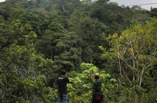 
 Hutan Adat di Aceh Jaya Resmi Diakui Negara