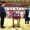 Penjabat Gubernur Aceh Achmad Marzuki, melantik Sekda Aceh Utara A Murtala sebagai Pj Bupati Aceh Jaya dan Sekda Aceh Tamiang Asra sebagai Pj Bupati Aceh Tamiang, serta menyerahkan SK perpanjangan masa tugas kepada T Mirzuan selaku Pj Bupati Aceh Tengah, di Anjong Mon Mata Komplek Meuligoe Gubernur Aceh, Jum’at (29/12/2023) (Foto/Humas Pemprov Aceh)