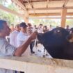 Pj. Bupati Aceh Jaya, Dr. A. Murtala, M.Si, pada saat peninjauan langsung ke pasar hewan ternak Panga dan Pasar Rakyat Calang, Rabu (06/03/2024) (Foto untuk AJP)