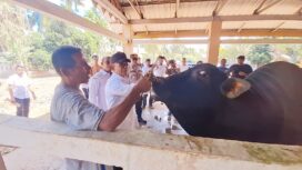 Pj. Bupati Aceh Jaya, Dr. A. Murtala, M.Si, pada saat peninjauan langsung ke pasar hewan ternak Panga dan Pasar Rakyat Calang, Rabu (06/03/2024) (Foto untuk AJP)