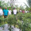 Penjabat (Pj) Bupati Aceh Jaya, Dr. A. Murtala., M.Si., mengunjungi kebun cabai Kelompok Tani Bina Beusaree dan Kilang Padi Kelompok Tani Gampong Sapek, Kecamatan Setia Bakti, Rabu (6/3/2024) (Foto untuk AJP)
