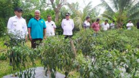 Penjabat (Pj) Bupati Aceh Jaya, Dr. A. Murtala., M.Si., mengunjungi kebun cabai Kelompok Tani Bina Beusaree dan Kilang Padi Kelompok Tani Gampong Sapek, Kecamatan Setia Bakti, Rabu (6/3/2024) (Foto untuk AJP)
