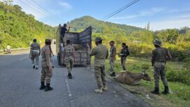 Petugas Satpol PP dan WH Kabupaten Aceh Jaya bersama Tim Terpadu kembali mengaktifkan operasi dan penertiban ternak, Rabu (23/10/2024) (Foto/Ist)