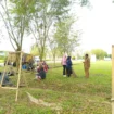 Dinas Lingkungan Hidup (DLH) Kabupaten setempat melakukan pembersihan di halaman kantor Dewan Perwakilan Rakyat Kabupaten (DPRK) Aceh Jaya, Selasa (18/2/2025) (Foto/Ist)