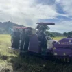 Bupati Wabup Aceh Jaya Hadiri Panen Raya Padi Serentak di Gampong Babah Dua, Senin (7/4/2025) (Foto/Ist)