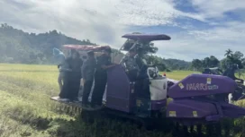 Bupati Wabup Aceh Jaya Hadiri Panen Raya Padi Serentak di Gampong Babah Dua, Senin (7/4/2025) (Foto/Ist)