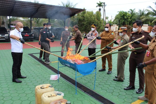 
 Pemusnahan Barang Bukti (BB) narkoba yang digelar Kejaksaan Negeri (Kejari) Aceh Jaya, Selasa (08/07/2025) (Foto/Ist) 