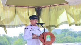 Bupati Aceh Jaya, Safwandi (Foto/Ist)