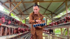 Kadis Pertanian Aceh Jaya, Dailami (Foto/Ist)