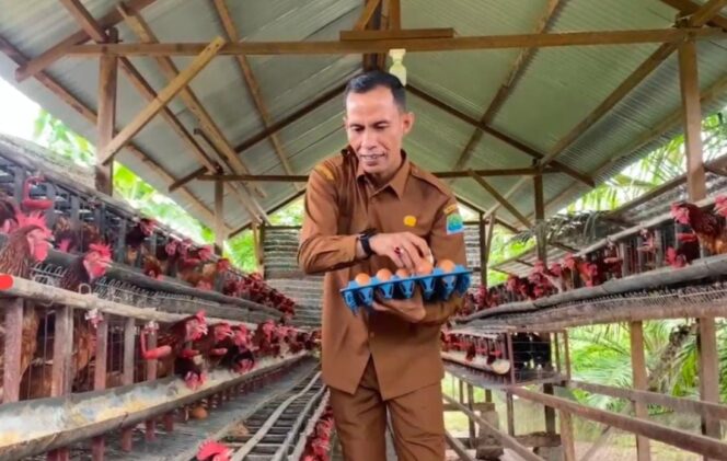 
 Kadis Pertanian Aceh Jaya, Dailami (Foto/Ist)