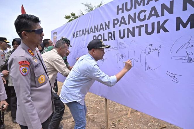 
 Bersama Kapolda Aceh, Bupati Aceh Jaya Panen Raya Serentak