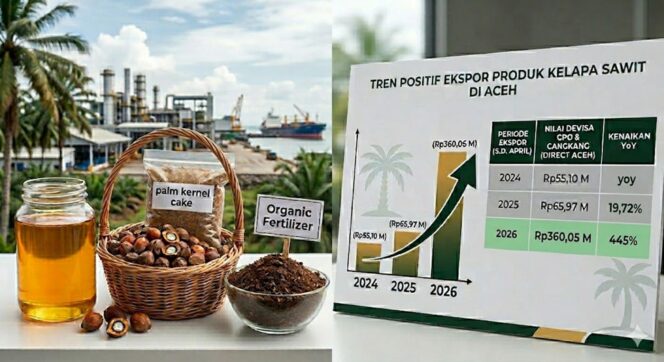 
 Kinerja Ekspor Produk Kelapa Sawit Aceh: Peluang Pengembangan Nilai Tambah dan Kontribusi Ekonomi Daerah