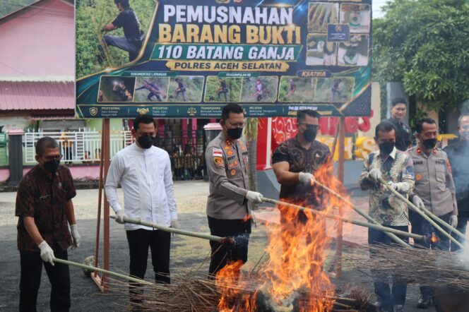 
 Musnahkan Ganja, T Ricki Tunjukkan Komitmen Berantas Narkotika