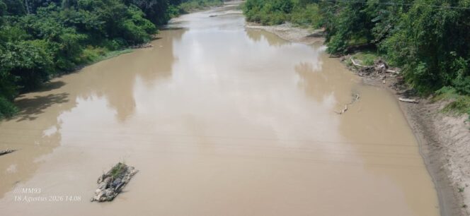 
 Air di Krueng Aceh Menguning, Pemerintah dan APH Didesak Cek Dugaan Illegal Logging