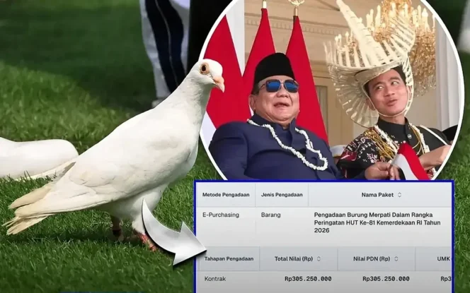 
 Di Tengah Efisiensi dan Bencana, ICW Temukan Pengadaan Burung Merpati Rp305 Juta oleh Kemensetneg