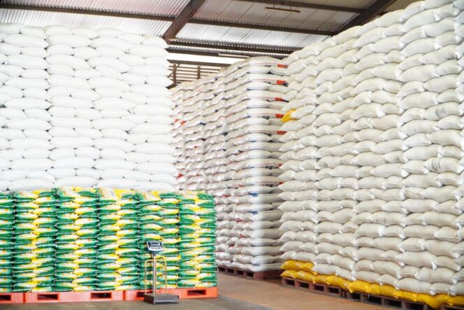 
 Pemkab Aceh Jaya Siapkan 57 Ton Beras untuk Cadangan Pangan